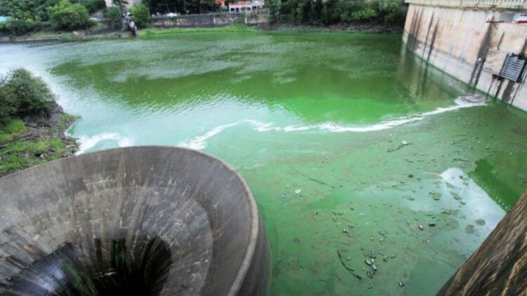 Con un estado crítico, preocupa la salud del lago San Roque