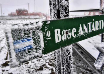 Ciencia bajo cero: desplegaran a 187 científicos e investigadores argentinos en la Antártida