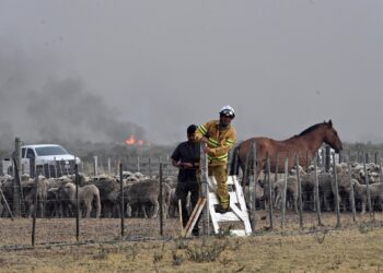 Las áreas perdidas por focos ígneos se redujeron un 70%