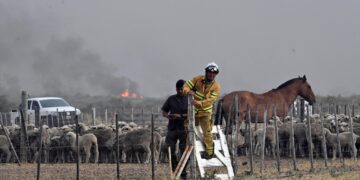 Las áreas perdidas por focos ígneos se redujeron un 70%