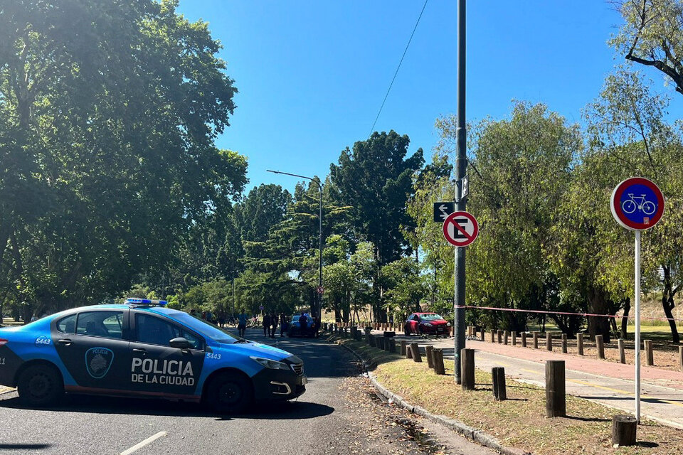 Tragedia en Palermo: el conductor del Focus dio positivo al narcotest