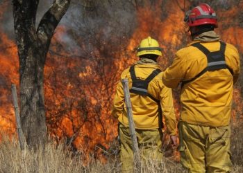 Bomberos lograron contener el incendio en San Francisco del Chañar