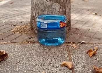 «Poné un tachito con agua»: la nueva campaña solidaria para animales de la calle