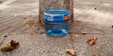 «Poné un tachito con agua»: la nueva campaña solidaria para animales de la calle