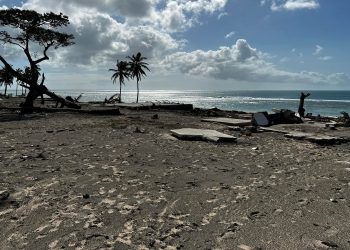 Aviones humanitarios llegaron a las zonas afectadas en Tonga