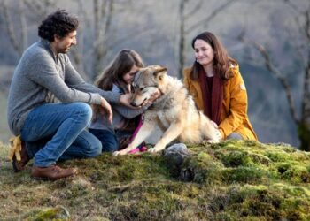 Llega una nueva película para disfrutar en Cine Arte Córdoba