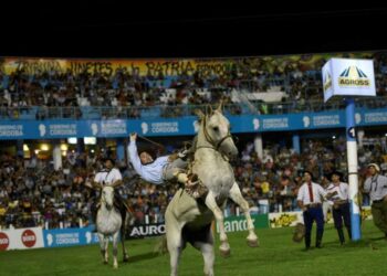 Agenda para un año lleno de música