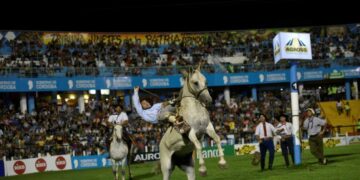 Agenda para un año lleno de música