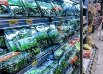 Francia prohibió el uso de plásticos para envasar frutas y verduras