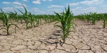 Por las sequías, piden eliminar las retenciones al agro