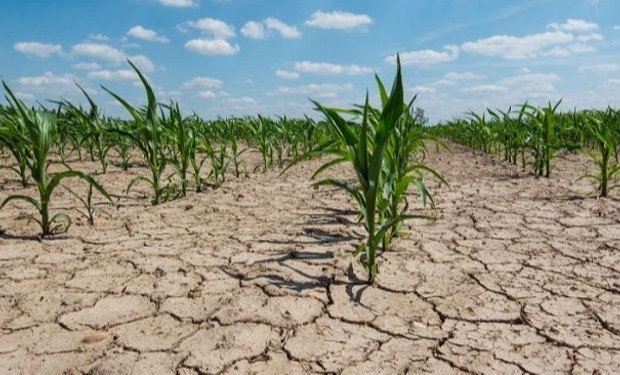 Por las sequías, piden eliminar las retenciones al agro