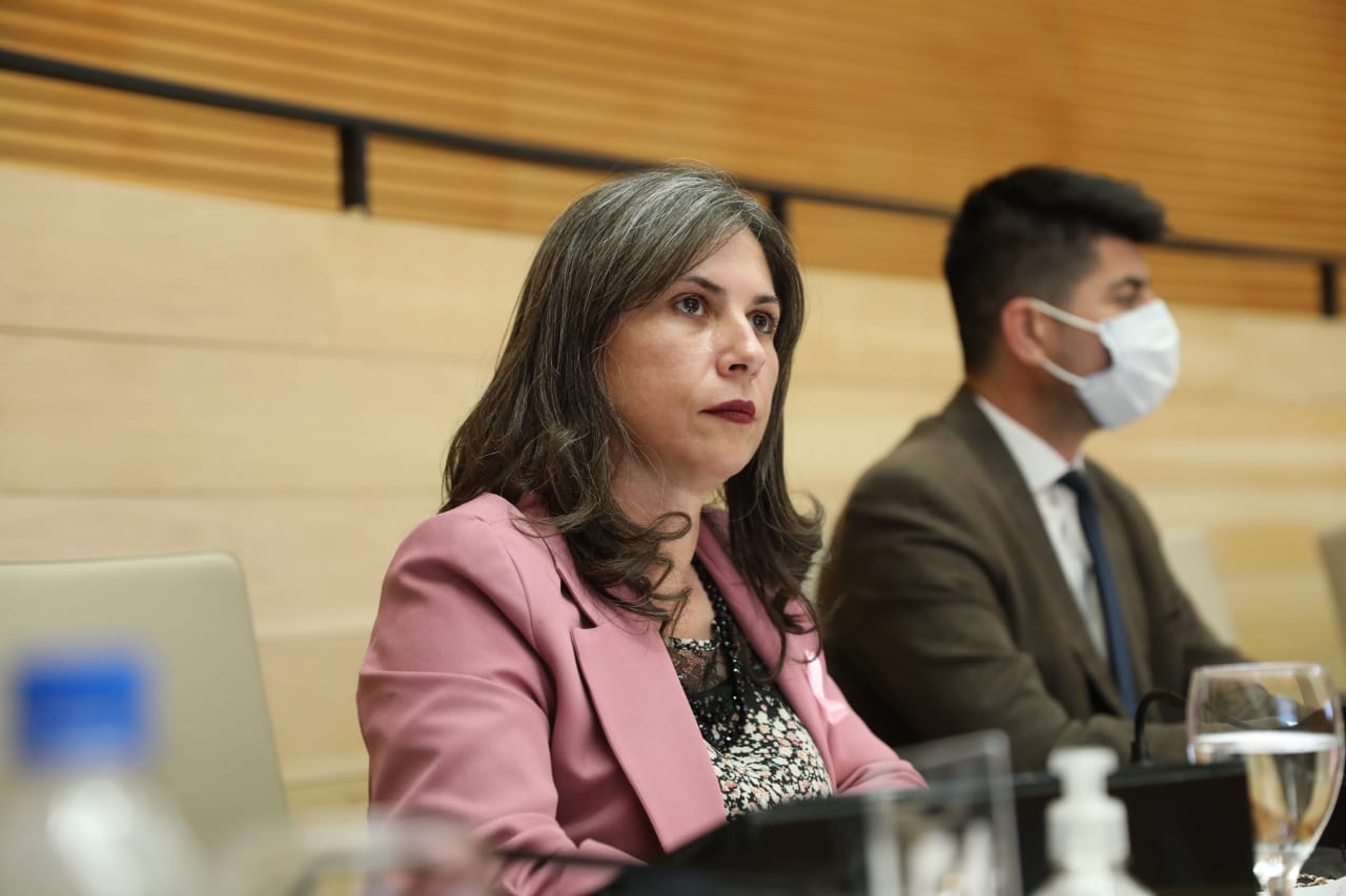 Nazario busca integrarse a HPC con mayor peso político Laura Labat, legisladora provincial.