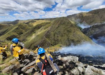 Incendios: 1.500.000 hectáreas se perdieron en dos décadas