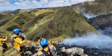 Incendios: 1.500.000 hectáreas se perdieron en dos décadas