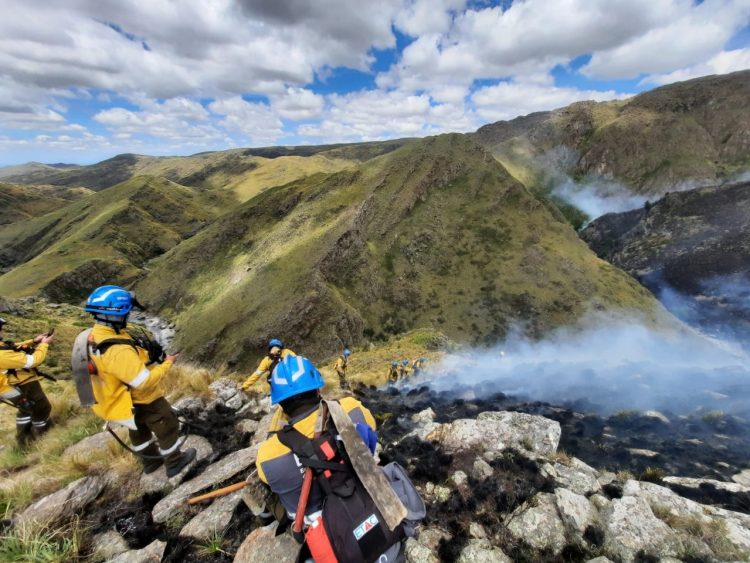 Incendios: 1.500.000 hectáreas se perdieron en dos décadas