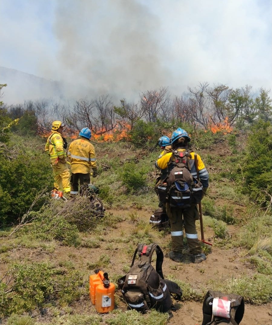 Incendios: 1.500.000 hectáreas se perdieron en dos décadas