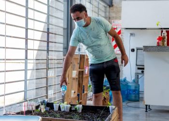 La Municipalidad lleva adelante un programa de inserción laboral