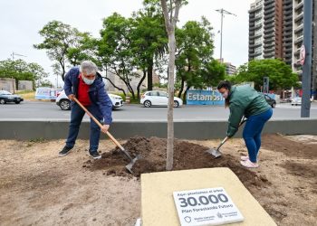 El plan municipal Forestando Futuro ya plantó 30.000 árboles