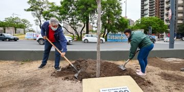 El plan municipal Forestando Futuro ya plantó 30.000 árboles