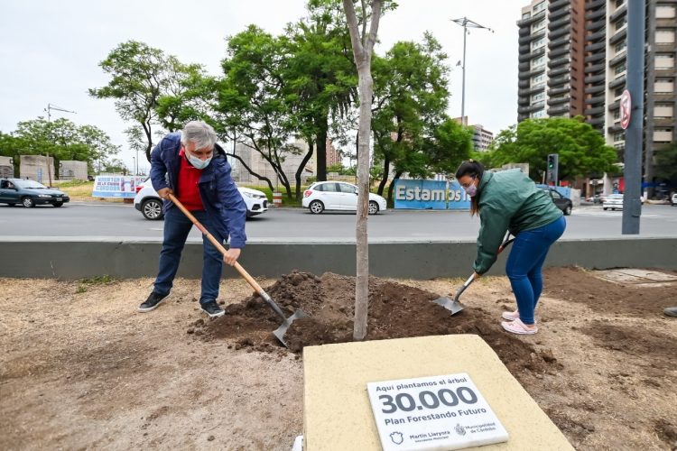 El plan municipal Forestando Futuro ya plantó 30.000 árboles