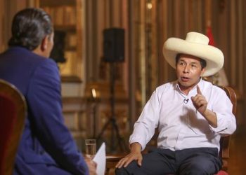 Castillo toma distancia de los modelos de Cuba y Venezuela