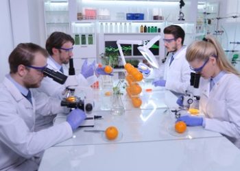 Crearon un nuevo revestimiento protector de celulosa para frutas y verduras