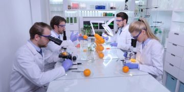 Crearon un nuevo revestimiento protector de celulosa para frutas y verduras