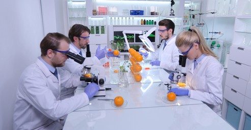 Crearon un nuevo revestimiento protector de celulosa para frutas y verduras