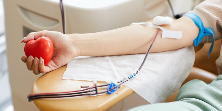 Blood donor with catheter and plasters holding toy heart and donating blood at the lab