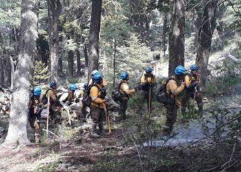 Se destinarán $ 724.000.000 para combatir incendios