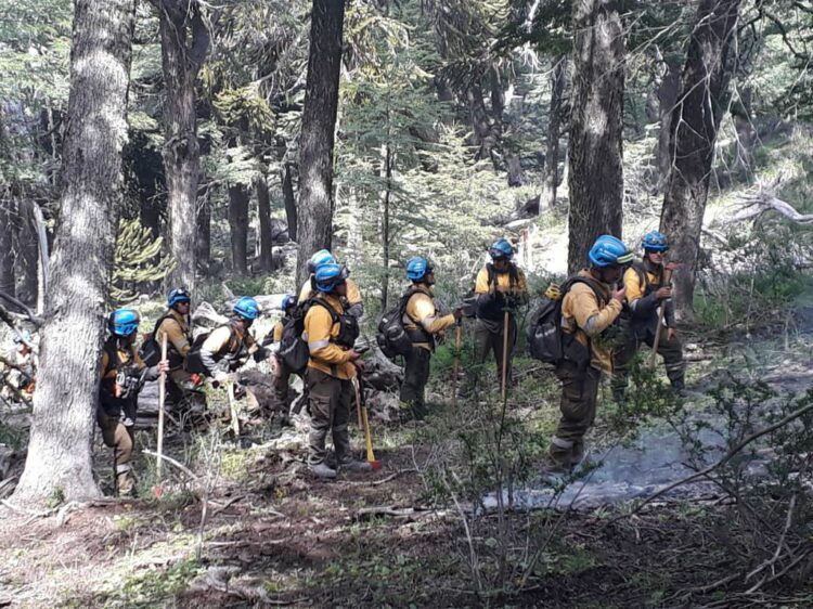 Se destinarán $ 724.000.000 para combatir incendios