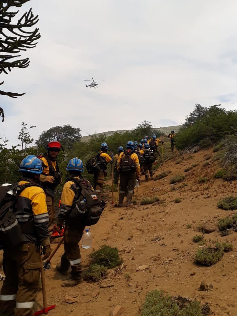 Se destinarán $ 724.000.000 para combatir incendios