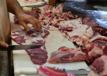 Carnes, esparcimiento, indumentaria y calzado motorizaron la inflación