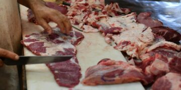 Carnes, esparcimiento, indumentaria y calzado motorizaron la inflación