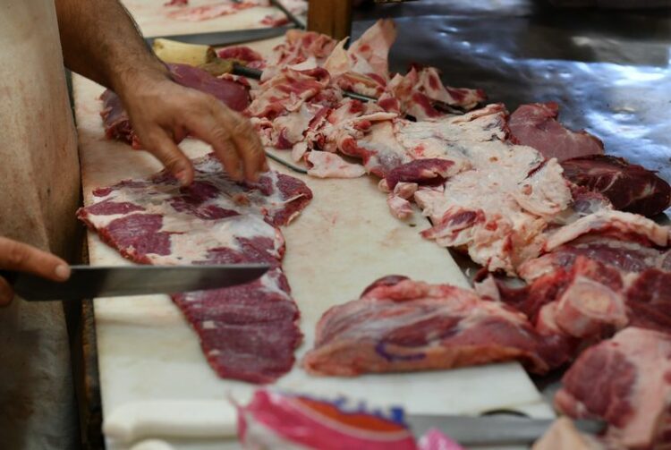 Carnes, esparcimiento, indumentaria y calzado motorizaron la inflación