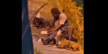 Un indigente les festejó el cumpleaños a sus perros y conmovió a toda la red