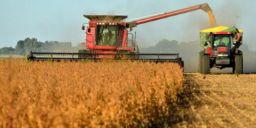 Recortan estimaciones de la cosecha gruesa y prevén menos ingresos por U$S 2.930 millones