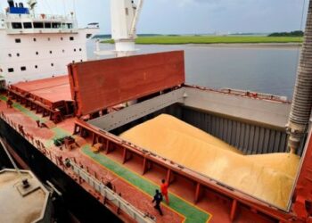 Récord absoluto: el campo aportó US$ 33.000 millones