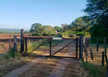 Investigan una fiesta clandestina en la propiedad de un juez: “Y bueno, habrá que pagar la multa”