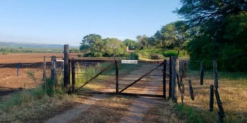 Investigan una fiesta clandestina en la propiedad de un juez: “Y bueno, habrá que pagar la multa”