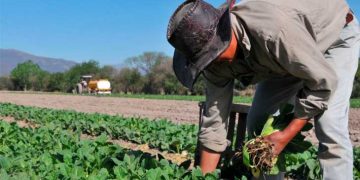 Retenciones, fideicomisos  y hombres de campo