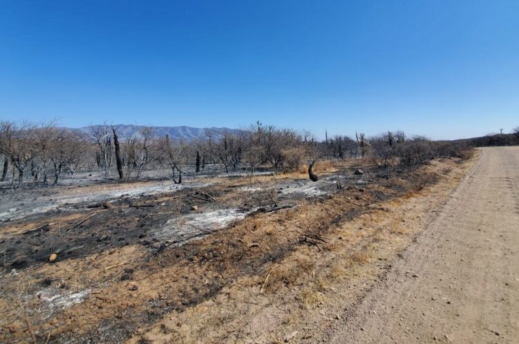 El foco de incendio de San Marcos Sierras se encuentra contenido