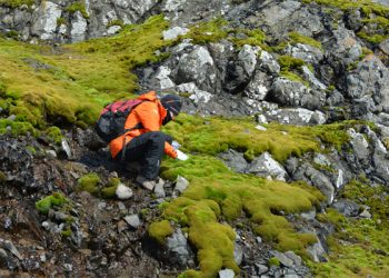 Un grupo de científicos argentinos investigará microorganismos capaces de aplacar la contaminación
