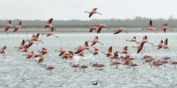 Analizan la posibilidad de crear nuevos parques nacionales en Córdoba «para preservar la biodiversidad»