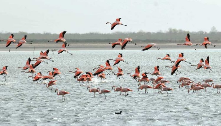 Analizan la posibilidad de crear nuevos parques nacionales en Córdoba "para preservar la biodiversidad"