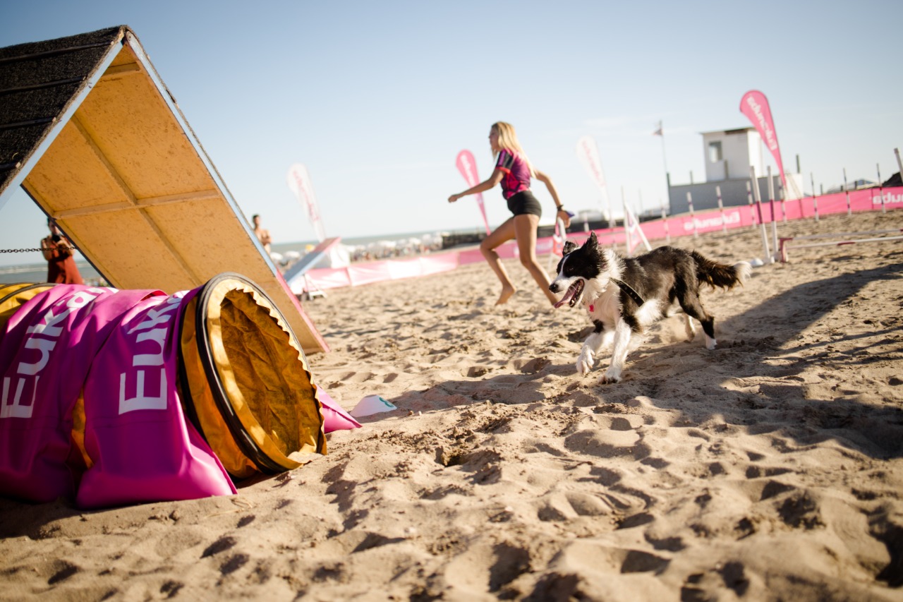 Una playa canina para disfrutar con tu perro este verano