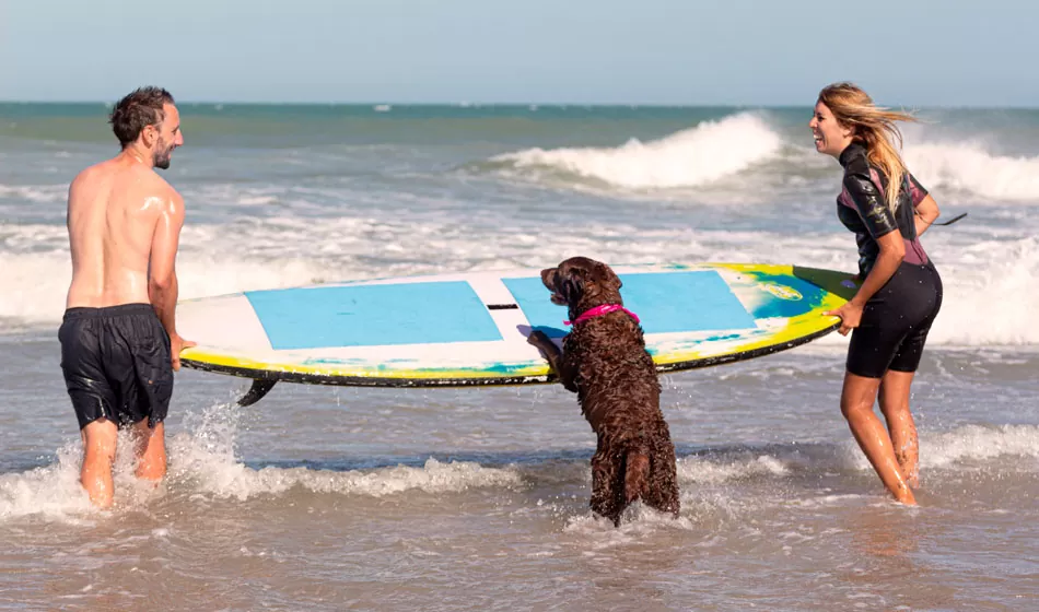 Una playa canina para disfrutar con tu perro este verano