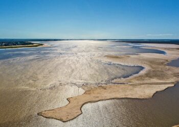 Bajante extraordinaria del río Paraná