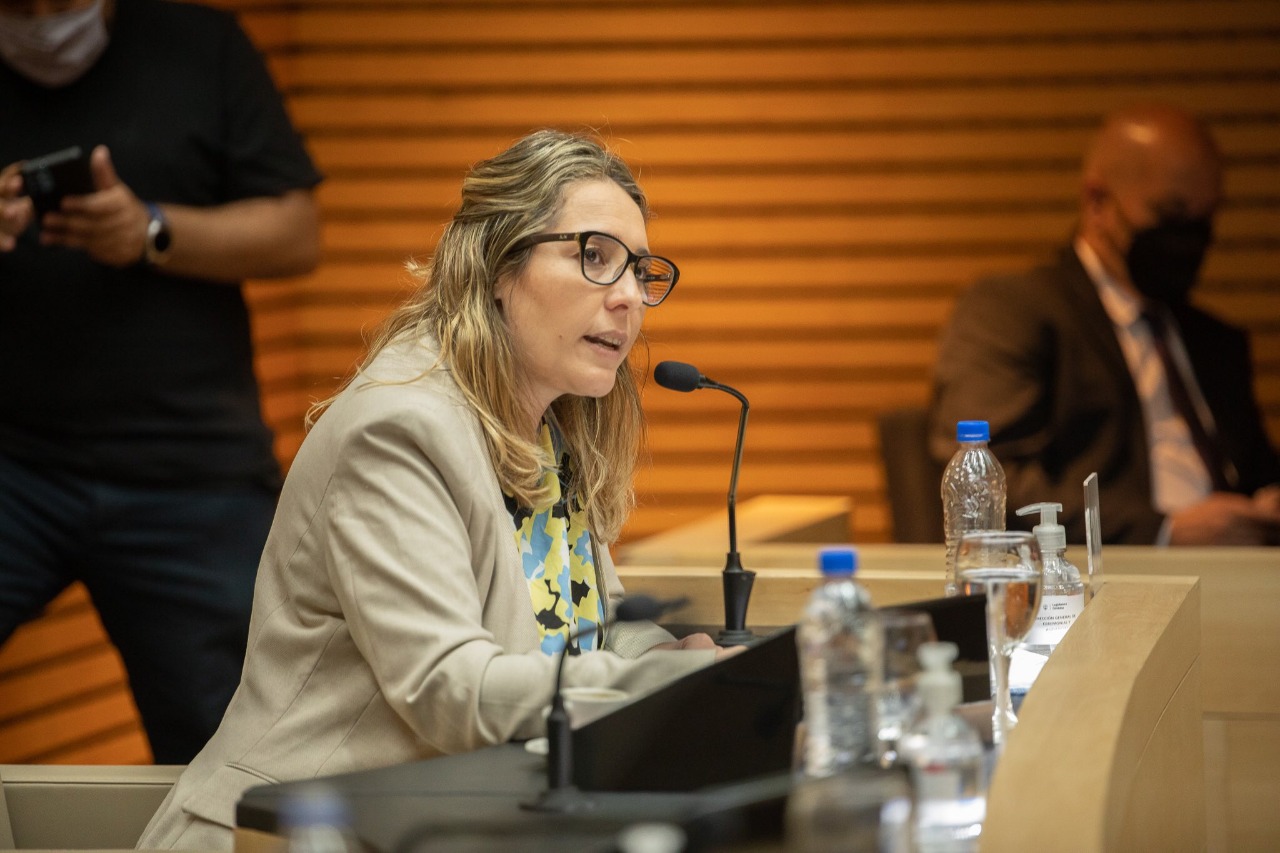 La UCR desplazará al PRO y será primera minoría en la Legislatura