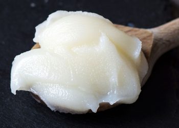 Crean una pasta de aceite vegetal impresa en 3D que imita a la grasa animal